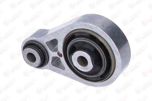 Variklio montavimas BIRTH 57219