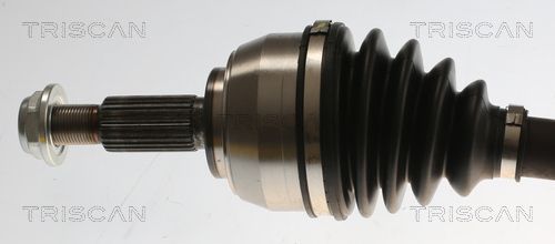 Pusašis TRISCAN 8540 25726