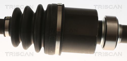 Pusašis TRISCAN 8540 25726