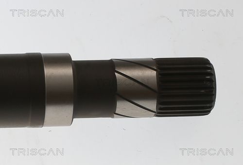 Pusašis TRISCAN 8540 25726