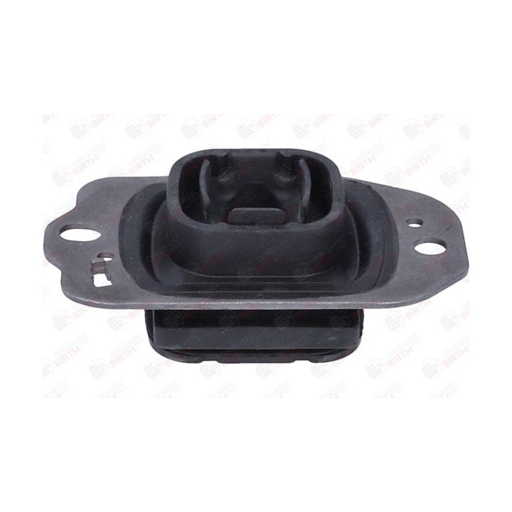 Variklio montavimas BIRTH 57221