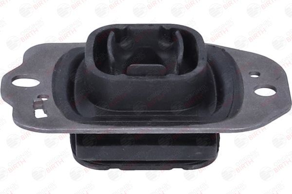 Variklio montavimas BIRTH 57221