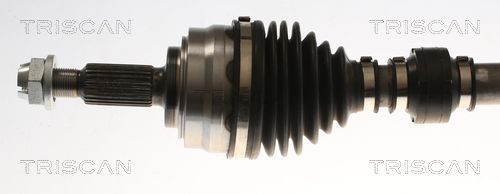 Pusašis TRISCAN 8540 25727