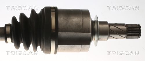 Pusašis TRISCAN 8540 25727