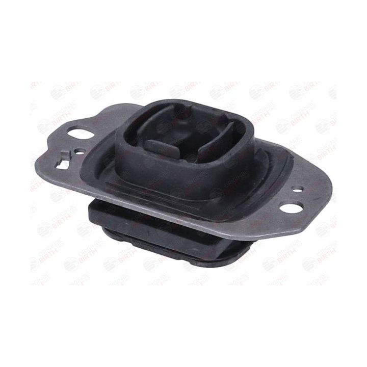 Variklio montavimas BIRTH 57221