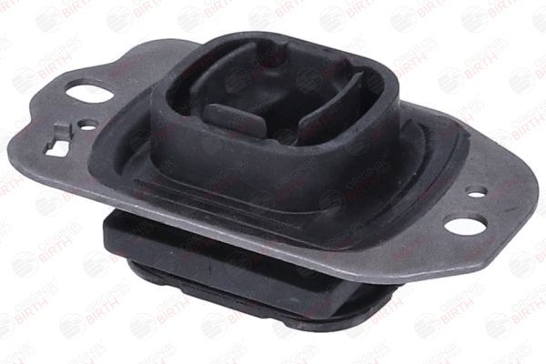 Variklio montavimas BIRTH 57221