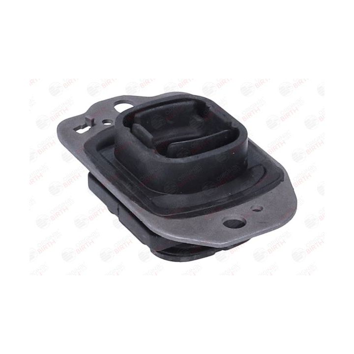 Variklio montavimas BIRTH 57221