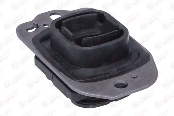 Variklio montavimas BIRTH 57221