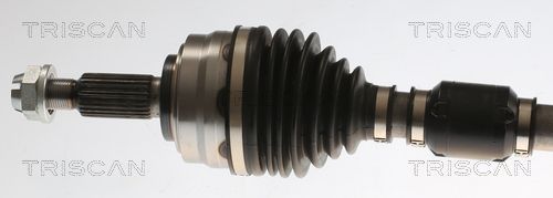 Pusašis TRISCAN 8540 25728