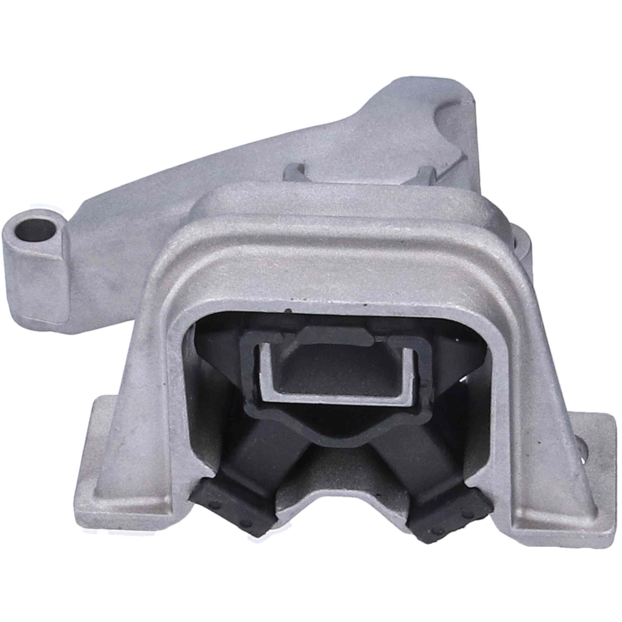 Variklio montavimas BIRTH 57223