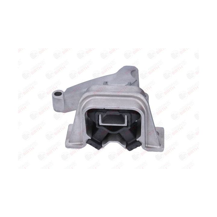 Variklio montavimas BIRTH 57223