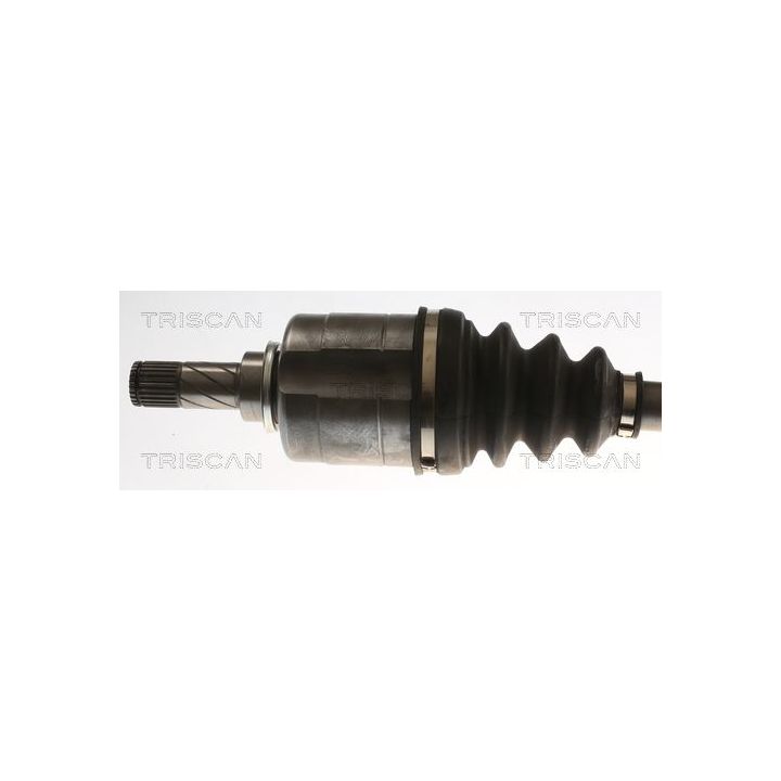 Pusašis TRISCAN 8540 25729