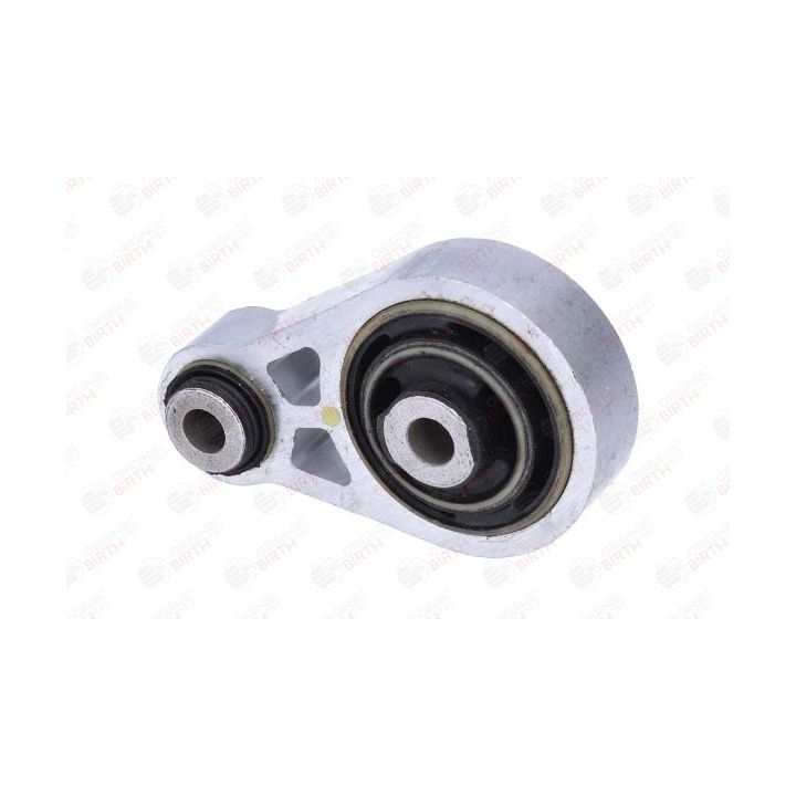 Variklio montavimas BIRTH 57224