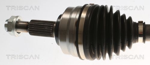 Pusašis TRISCAN 8540 25730