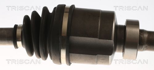 Pusašis TRISCAN 8540 25730