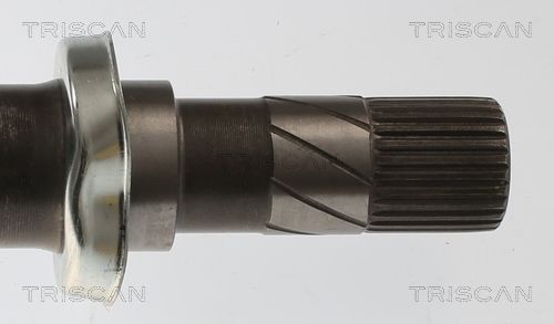 Pusašis TRISCAN 8540 25730