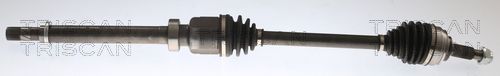 Pusašis TRISCAN 8540 25732