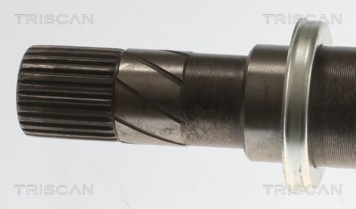 Pusašis TRISCAN 8540 25732