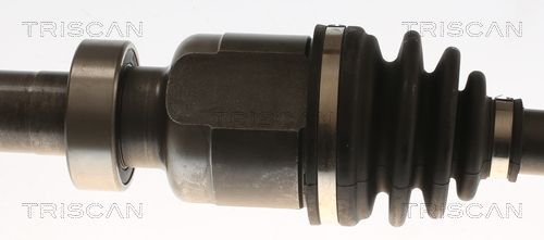 Pusašis TRISCAN 8540 25732