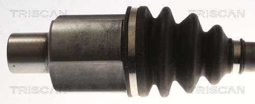 Pusašis TRISCAN 8540 25734