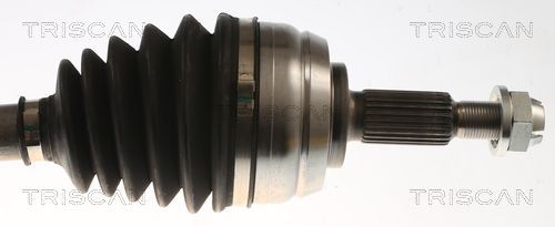 Pusašis TRISCAN 8540 25736