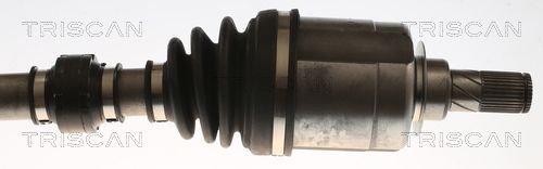 Pusašis TRISCAN 8540 25737