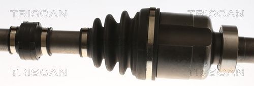 Pusašis TRISCAN 8540 25738