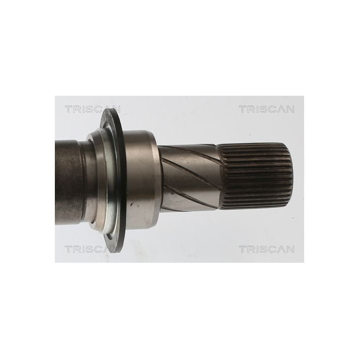 Pusašis TRISCAN 8540 25738