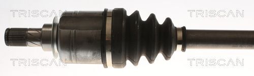 Pusašis TRISCAN 8540 25739