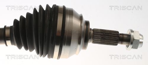 Pusašis TRISCAN 8540 25739