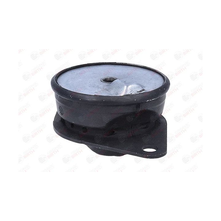 Montavimas, neautomatinė transmisija BIRTH 57100