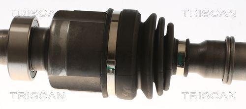 Pusašis TRISCAN 8540 25740
