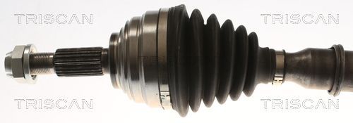 Pusašis TRISCAN 8540 25741