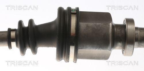 Pusašis TRISCAN 8540 25742