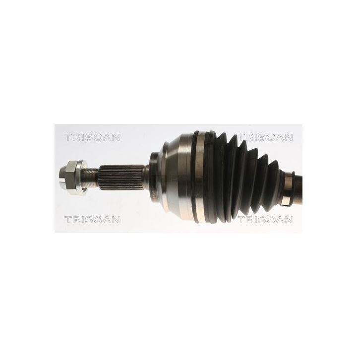 Pusašis TRISCAN 8540 25745