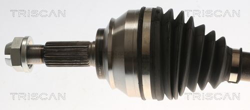 Pusašis TRISCAN 8540 25745