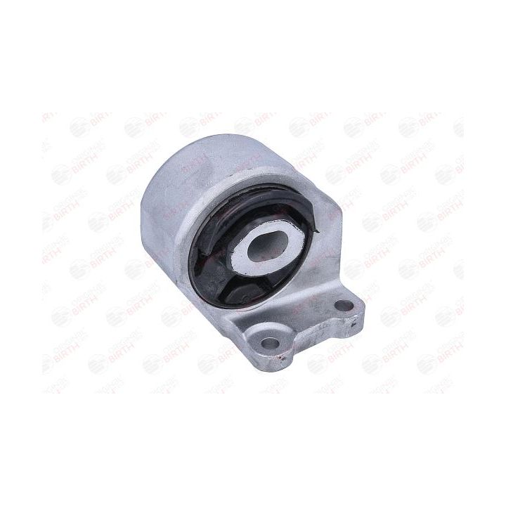 Montavimas, neautomatinė transmisija BIRTH 57151