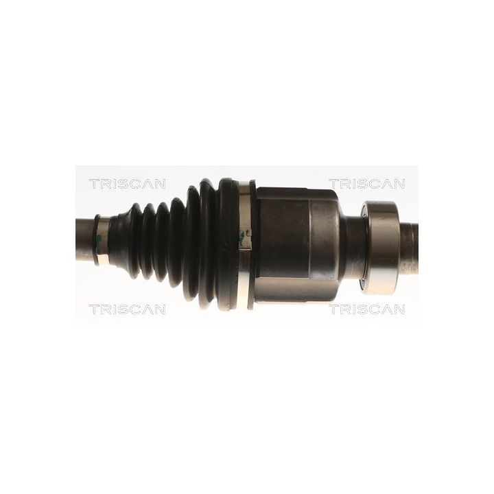 Pusašis TRISCAN 8540 25746