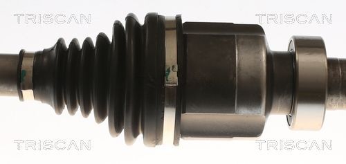 Pusašis TRISCAN 8540 25746