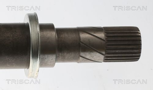 Pusašis TRISCAN 8540 25746