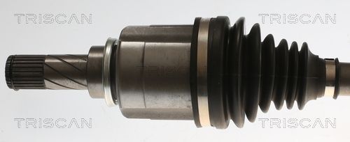 Pusašis TRISCAN 8540 25747