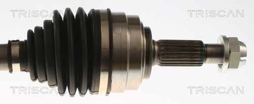 Pusašis TRISCAN 8540 25747