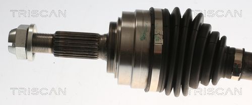 Pusašis TRISCAN 8540 25748