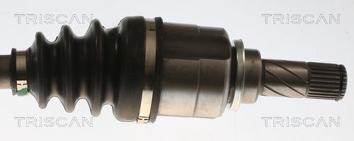 Pusašis TRISCAN 8540 25749