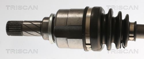 Pusašis TRISCAN 8540 25750