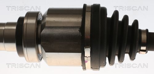 Pusašis TRISCAN 8540 27552