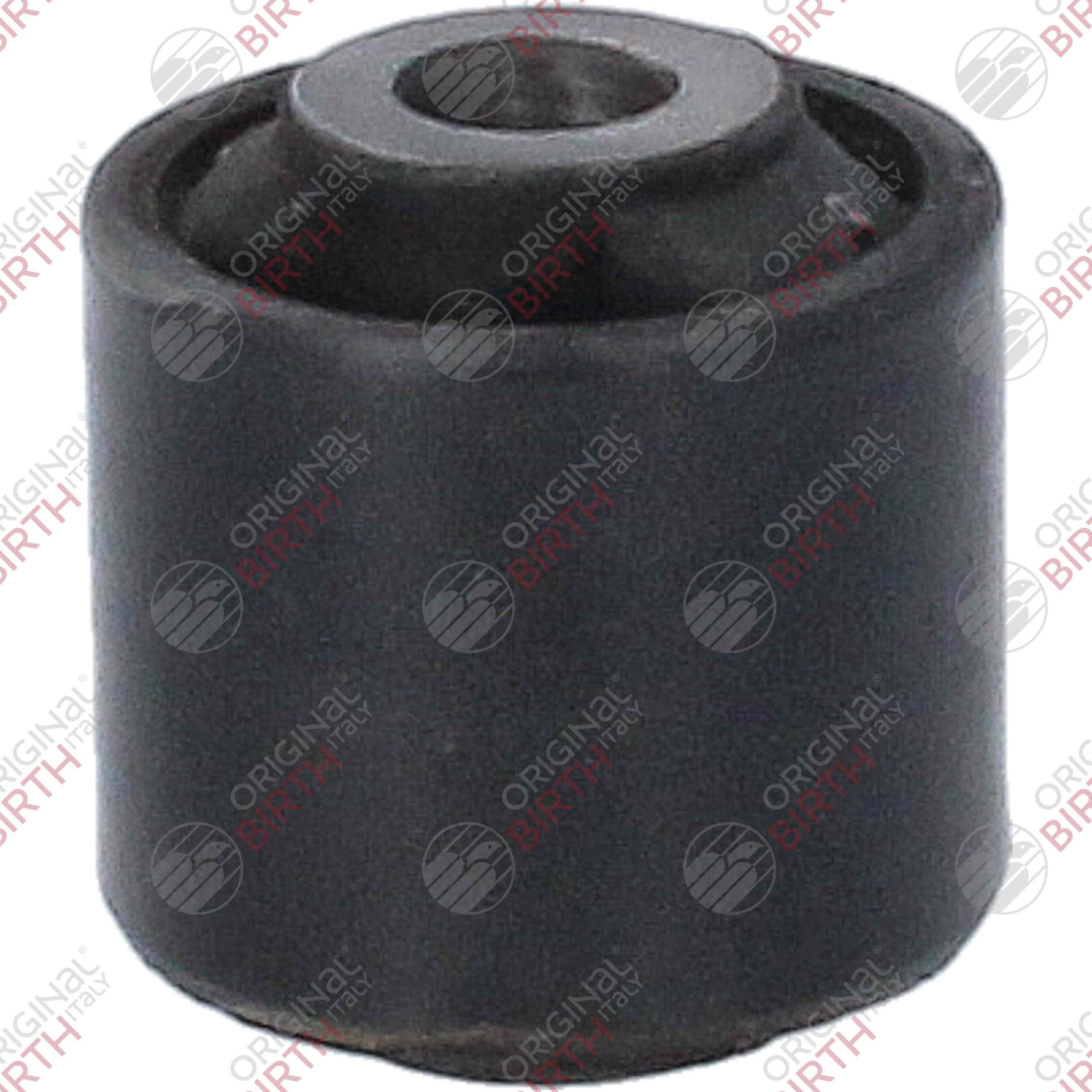 Valdymo svirties/išilginių svirčių įvorė BIRTH 20192