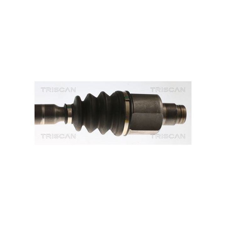 Pusašis TRISCAN 8540 28712