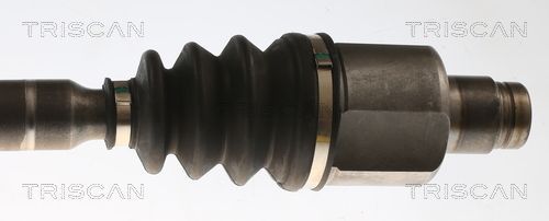 Pusašis TRISCAN 8540 28712