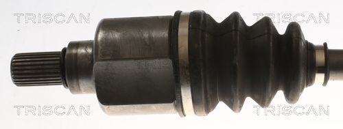 Pusašis TRISCAN 8540 28713